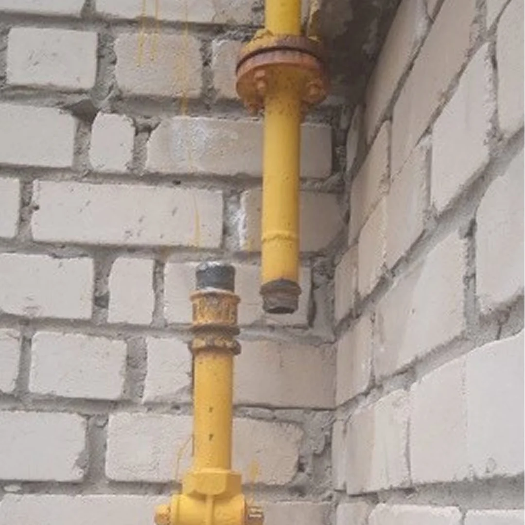 Иллюстрация 1